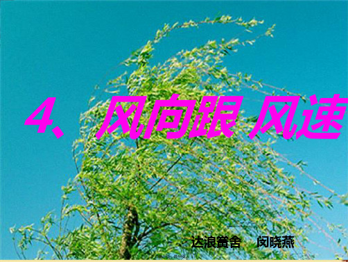 小学科学四上《1.4、风向和风速》课件(8)ppt(共14张PPT)