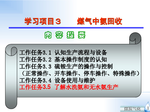 硫铵工段—水洗氨与无水氨生产(焦炉煤气净化技术课件)