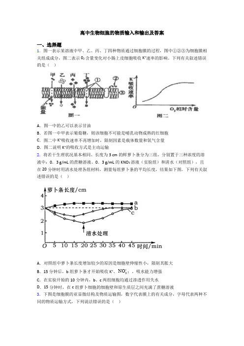 高中生物细胞的物质输入和输出及答案