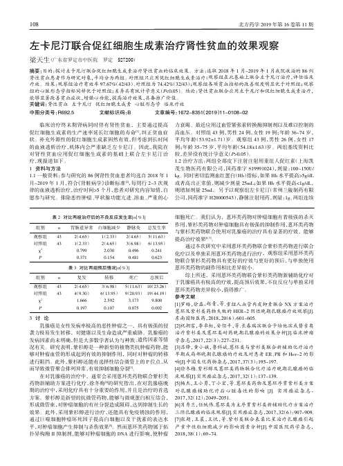 左卡尼汀联合促红细胞生成素治疗肾性贫血的效果观察