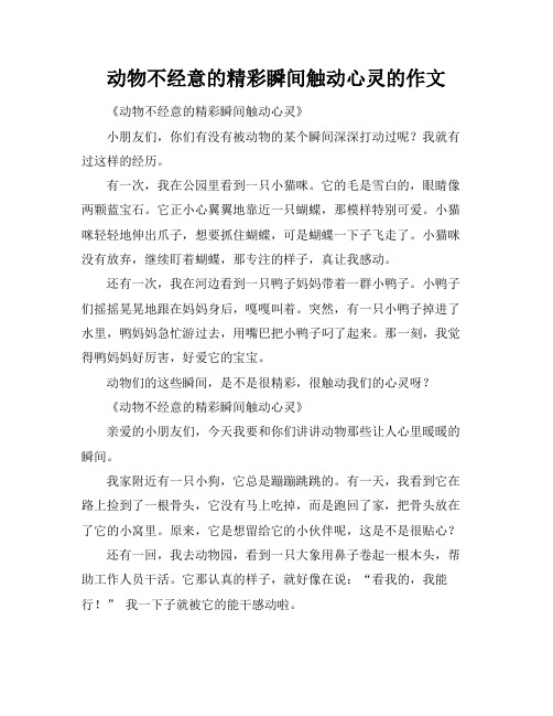 动物不经意的精彩瞬间触动心灵的作文