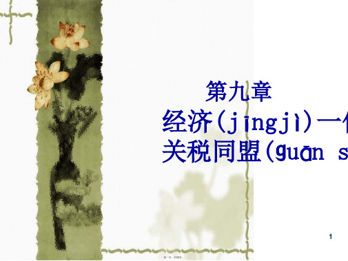 国际经济学09经济一体化和关税同盟理论