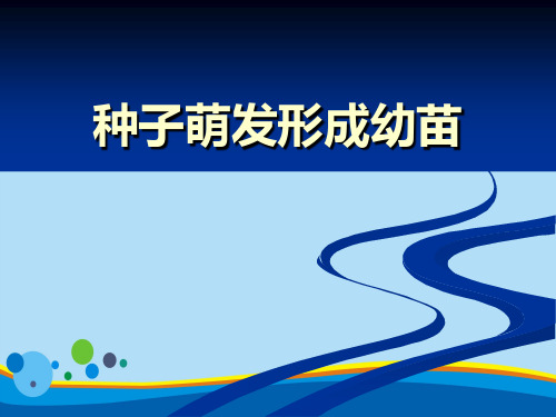 《种子萌发形成幼苗》PPT【精选推荐课件】