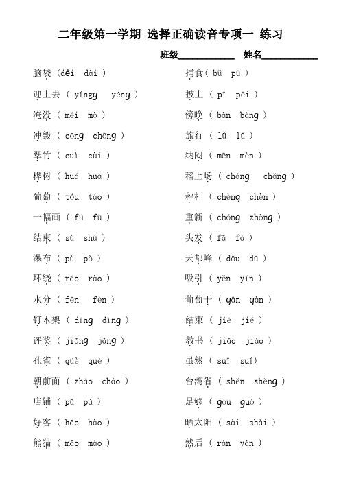 小学语文二年级第一学期选择正确读音专项一练习专项一