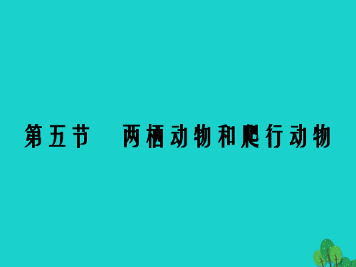 八年级生物上册 第五单元 第一章 第五节 两栖动物和爬行动物课件 (新版)新人教版