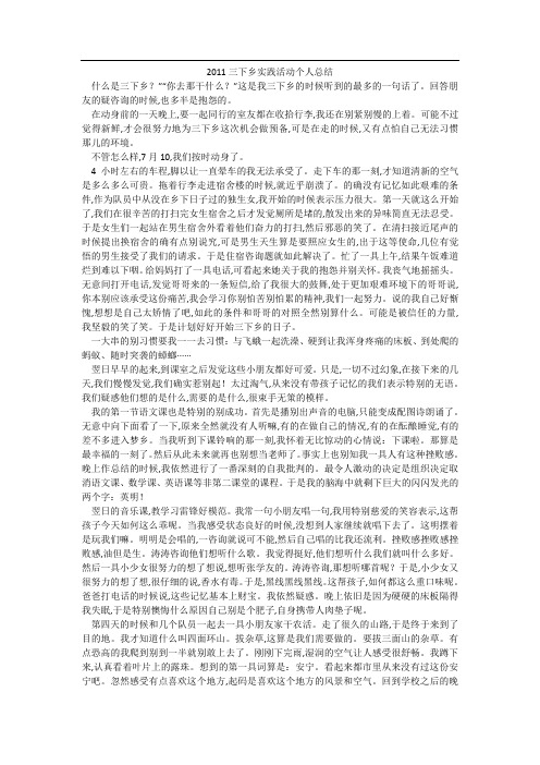 2011三下乡实践活动个人总结