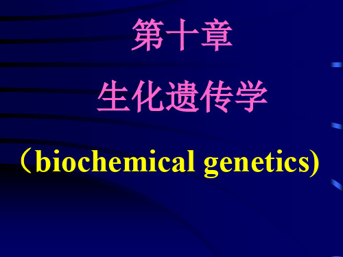 第10章 生化遗传学.ppt