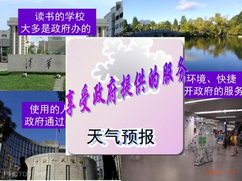 二轮复习 《政治生活》专题二：为人民服务的政府
