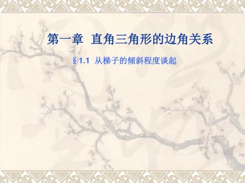 北师大版九年级下册数学第一章 直角三角形的边角关系1.1从梯子的倾斜程度谈起ppt课件