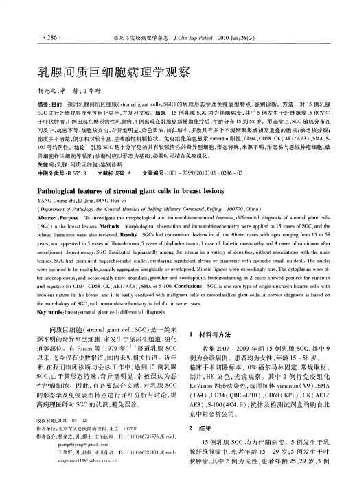 乳腺间质巨细胞病理学观察