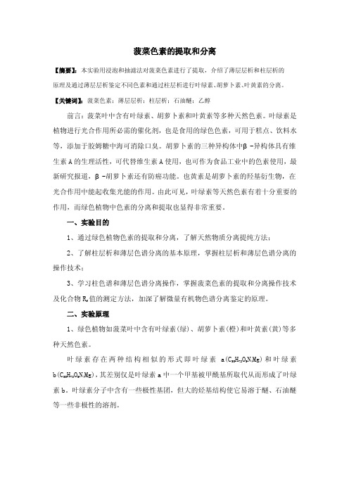 菠菜色素的提取和分离