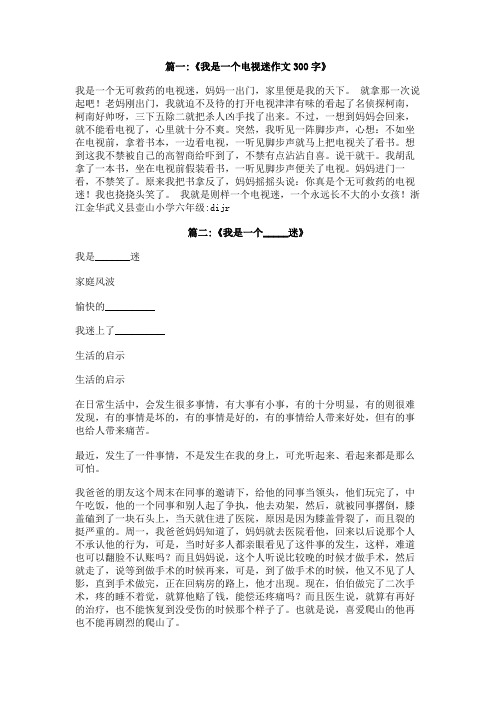我是一个,迷作文