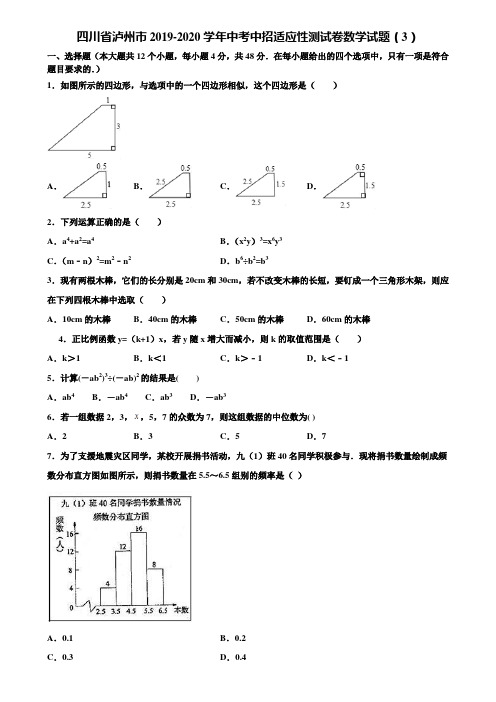 四川省泸州市2019-2020学年中考中招适应性测试卷数学试题(3)含解析