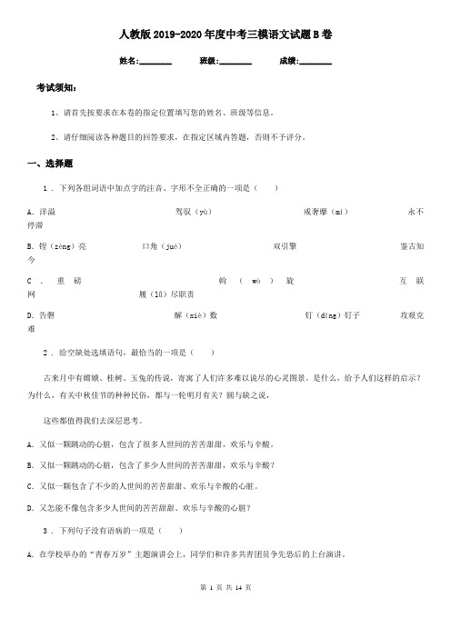 人教版2019-2020年度中考三模语文试题B卷