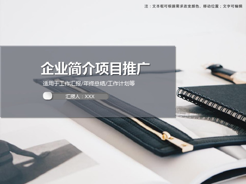 企业简介项目推广PPT模板