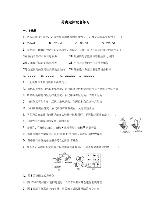 【新教材】2020-2021学年高一生物浙科版必修二1.1 孟德尔总结出分离定律 专题练习卷