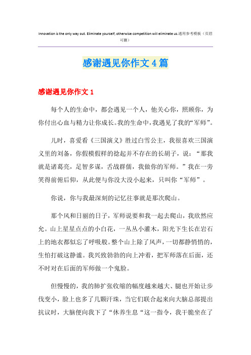 感谢遇见你作文4篇