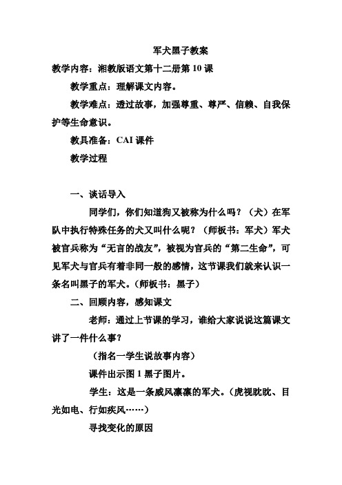 湘教版语文六下《军犬黑子》教案