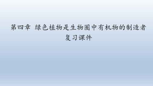 鲁科版(五四学制)生物六年级下册：第四章 绿色植物是生物圈中有机物的制造者  复习课件(共23张PPT)