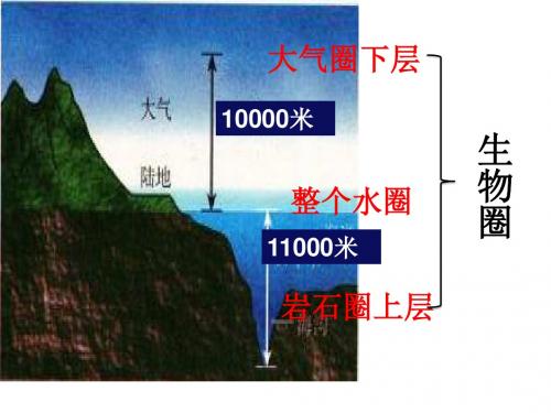 北师大版生物七年级上册第一章《生命的世界》全章课件