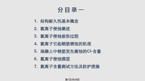结构耐久性的试验方法与检测指标概要PPT课件