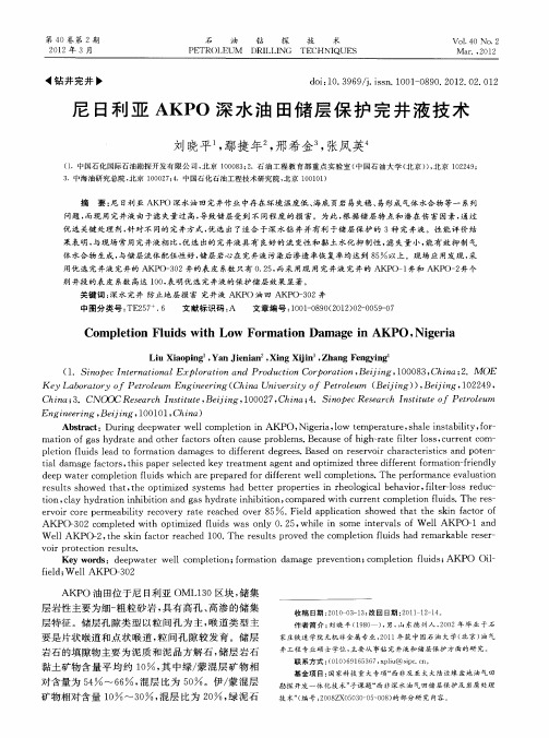 尼日利亚AKPO深水油田储层保护完井液技术