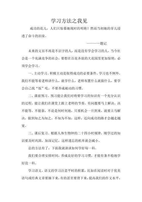 学习方法之我见