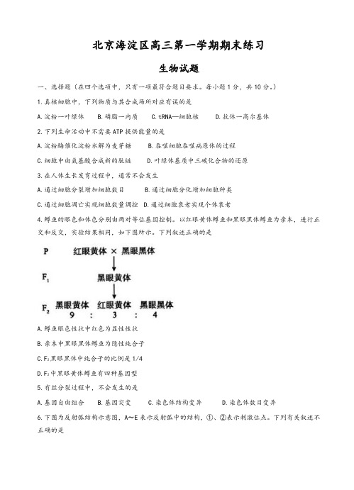 2019-2020年北京市海淀区高三第一学期期末练习生物试卷(有答案)-精华版