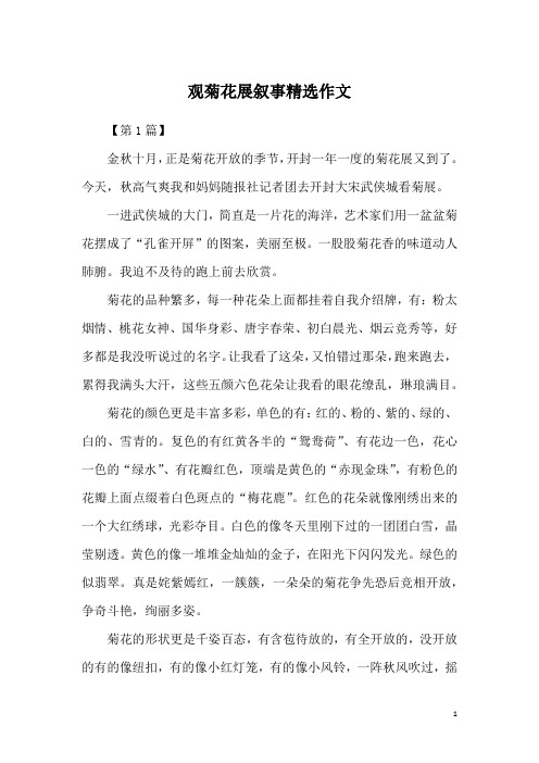 观菊花展叙事精选作文