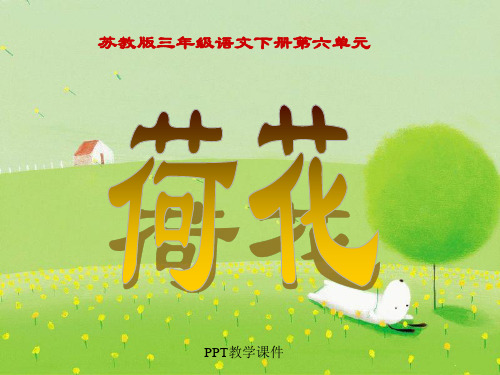 苏教版三年级下册语文《荷花》PPT课件