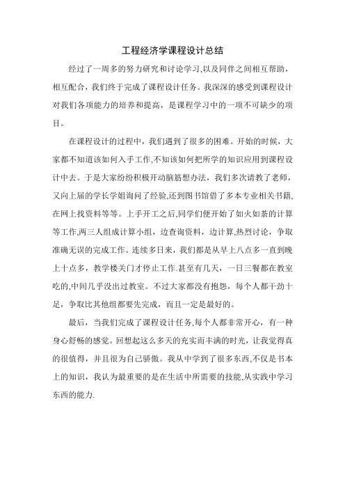 工程经济学课程设计总结