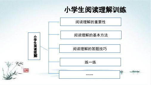 小学生语文阅读理解训练PPT课件