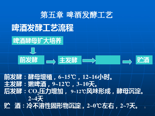 啤酒发酵工艺 ppt课件