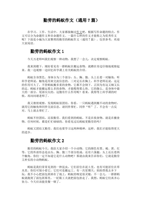 勤劳的蚂蚁作文(通用7篇)
