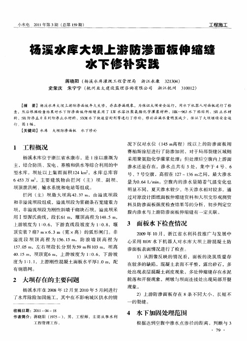 杨溪水库大坝上游防渗面板伸缩缝水下修补实践