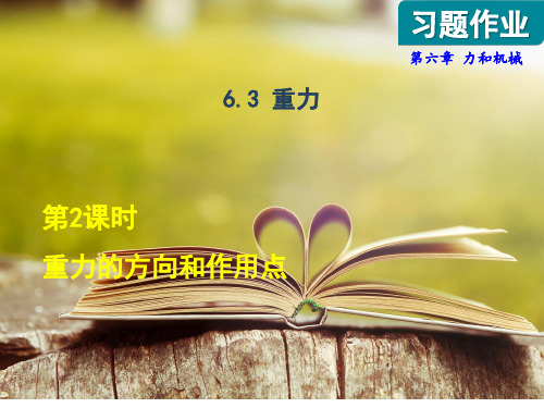 沪粤版八年级物理下册第六章《力和机械》第2课时 重力的方向和作用点