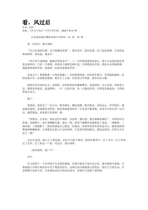 看,风过后