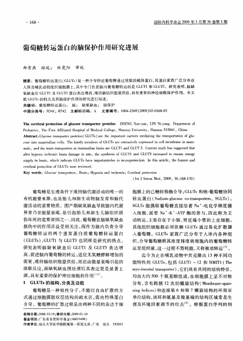 葡萄糖转运蛋白的脑保护作用研究进展