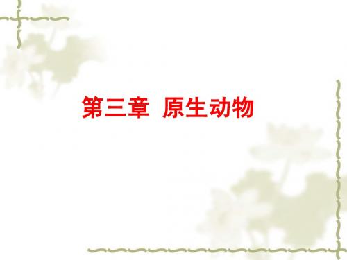 普通动物学-第3章_原生动物门