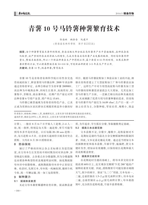 青薯10号马铃薯种薯繁育技术