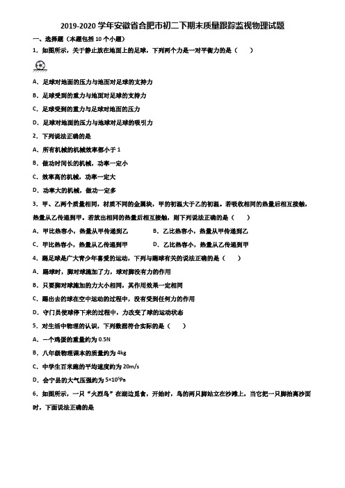 2019-2020学年安徽省合肥市初二下期末质量跟踪监视物理试题含解析