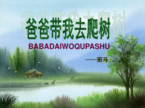 《爸爸带我去爬树》PPT精选教学优质课件2