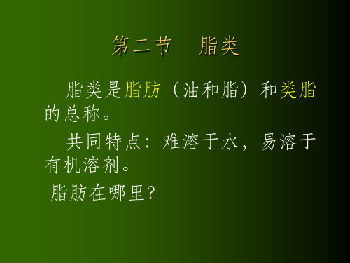脂类碳水化合物