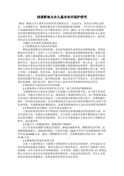 浅谈耕地与永久基本农田保护研究