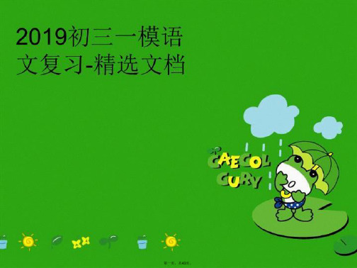 【精品】2019初三一模语文复习-精选文档PPT课件汇编