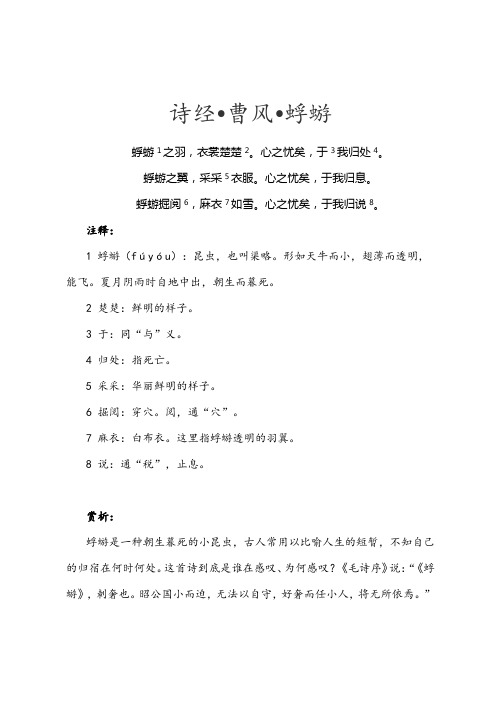 诗经-曹风-蜉蝣