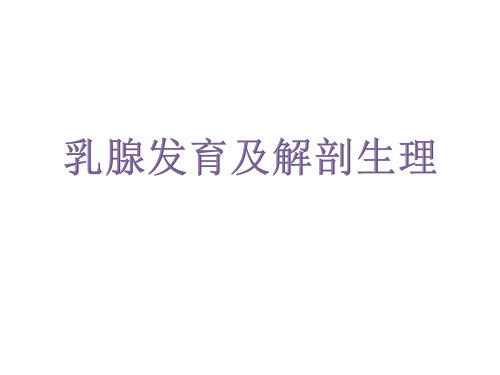乳腺癌筛查【PPT课件】