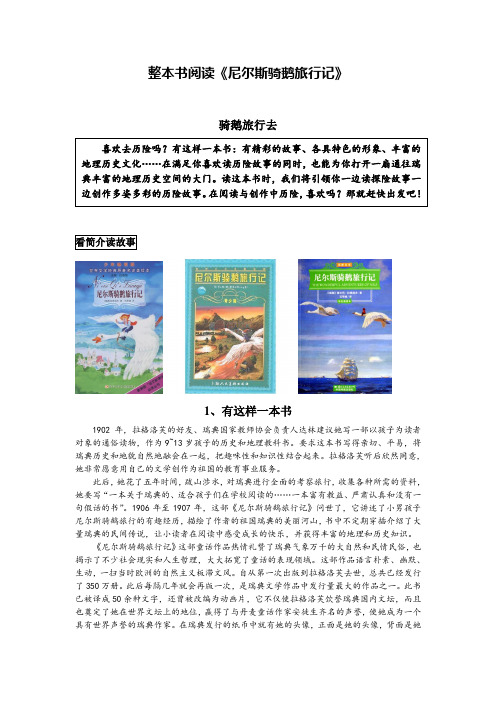 整本书《尼尔斯骑鹅旅行记》