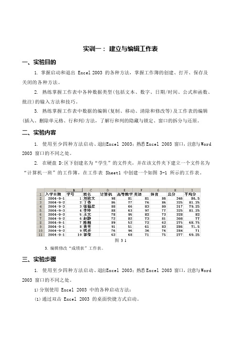 Excel实训教案(可编辑修改word版)