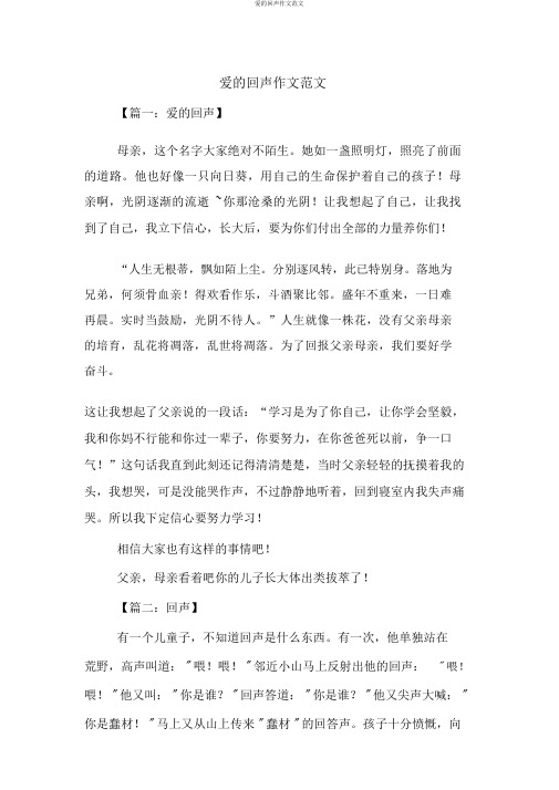 爱的回声作文范文
